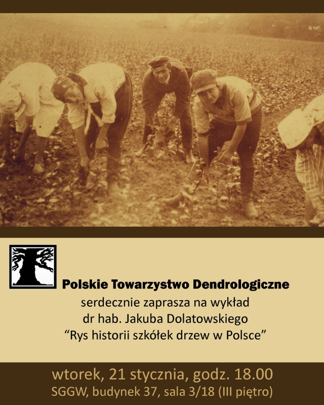 historia szkółek