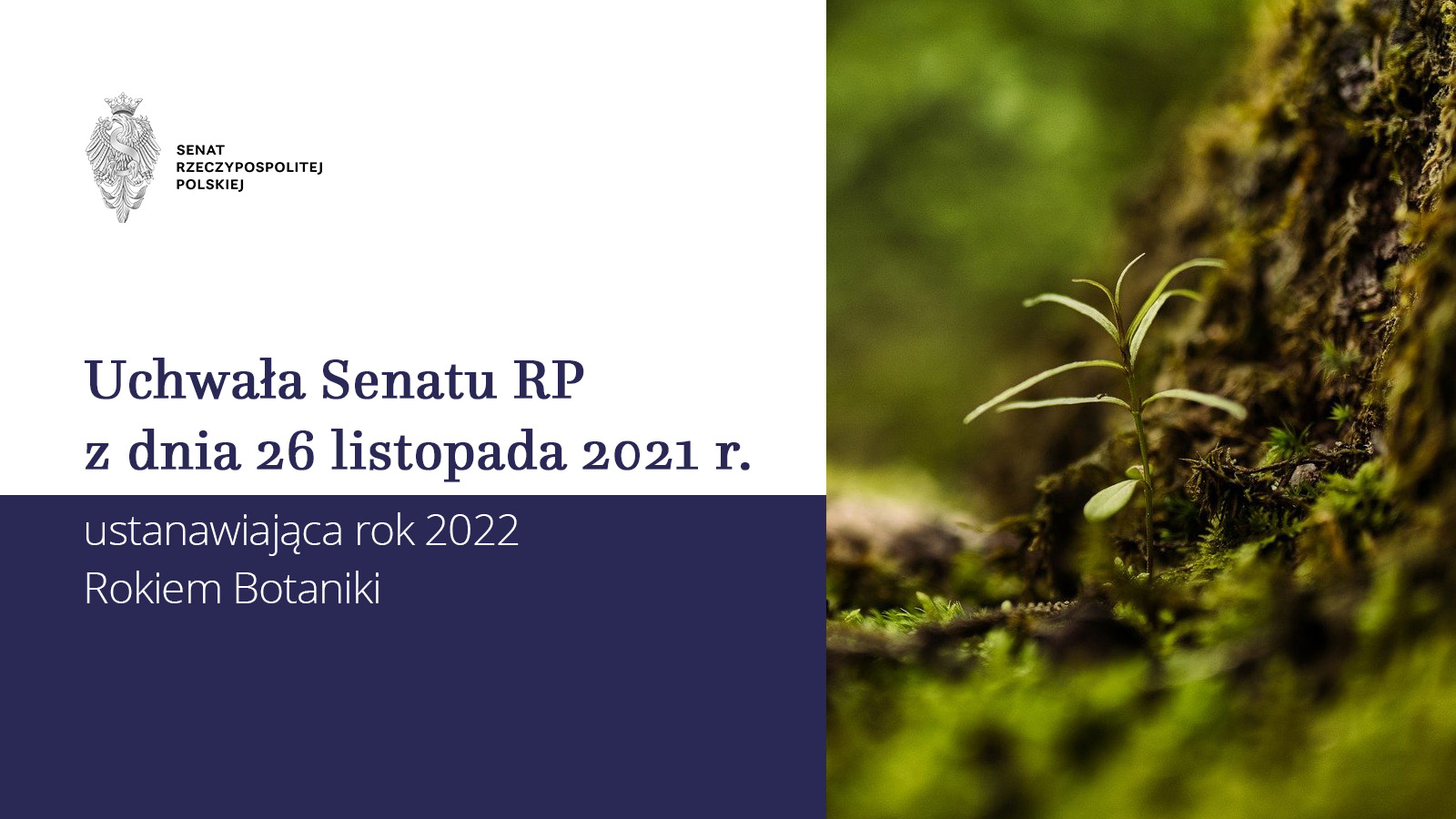 2022 Rokiem Botaniki