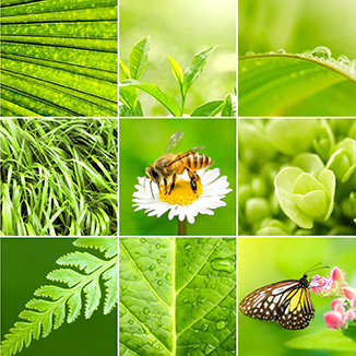 Biological Diversity – From Cell to Ecosystem – Interdisciplinary Study of Genetic, Pharmacological, and Biological Diversity