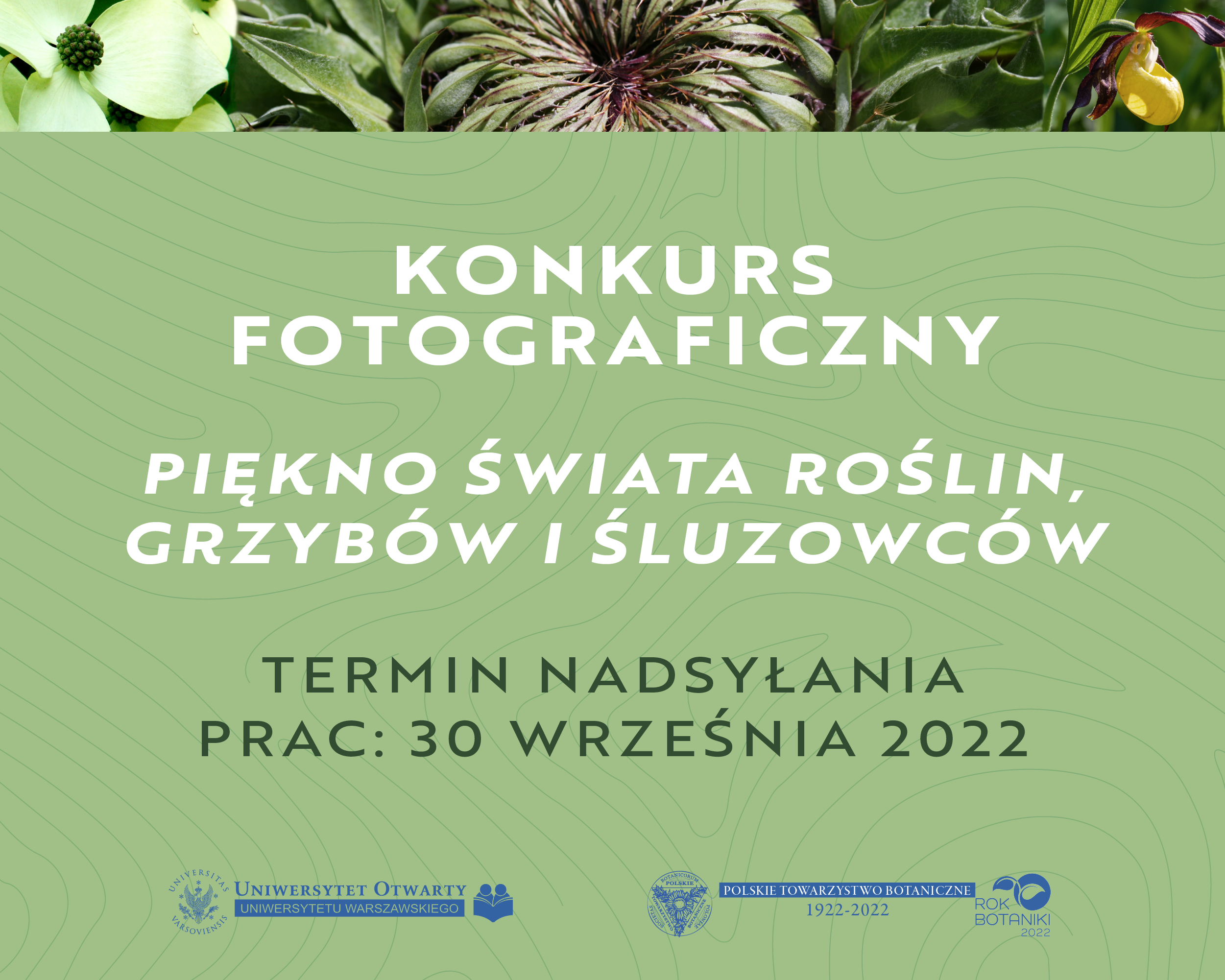 Wystartował konkurs fotograficzny „Piękno świata roślin, grzybów i śluzowców”