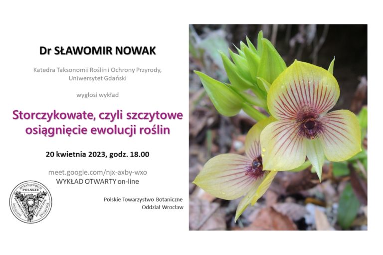 „Storczykowate, czyli szczytowe osiągnięcie ewolucji roślin” wykład otwarty dra Sławomira Nowaka, 20 kwietnia 2023 r., godz. 18.00
