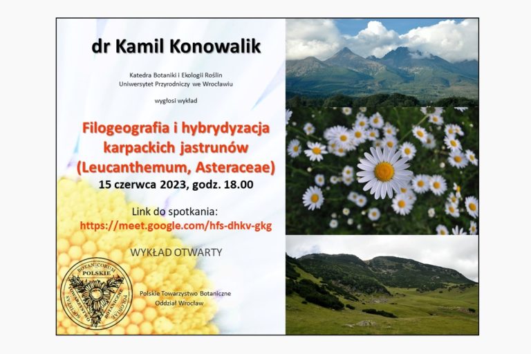 „Filogeografia i hybrydyzacja karpackich jastrunów (Karpaty, Asteraceae)”