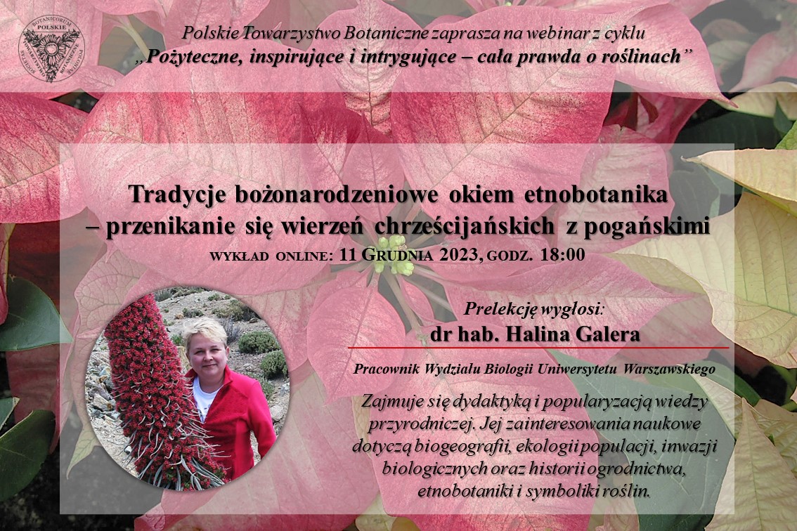 Webinarium „Tradycje bożonarodzeniowe okiem etnobotanika – przenikanie się wierzeń chrześcijańskich z pogańskimi”, 11 grudnia 2023 r.