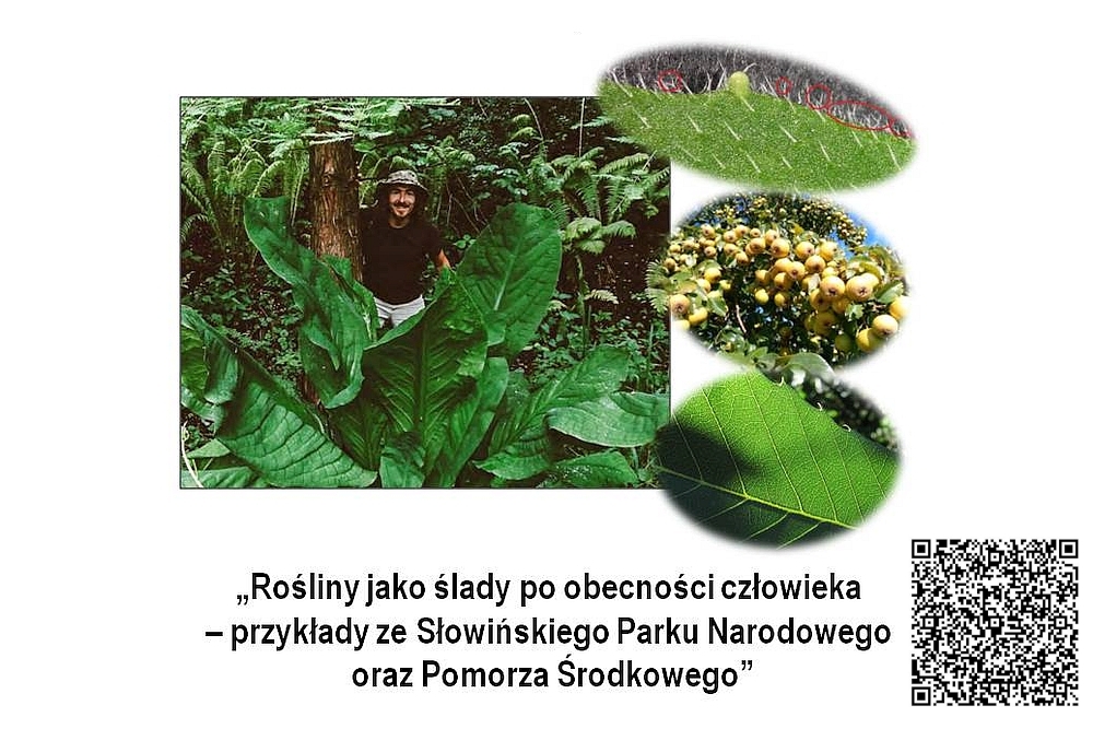 Spotkanie naukowe Oddziału Śląskiego PTB, 20 grudnia 2023 r. (środa), godz. 13.00, Instytut Biologii, Biotechnologii i Ochrony Środowiska WNP UŚ w Katowicach (stacjonarnie i online)