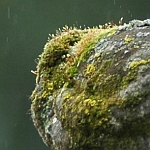June 2012