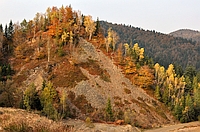 Rez. Goloborze