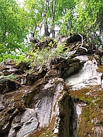 Dolina Solinki