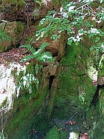 Dolina Solinki